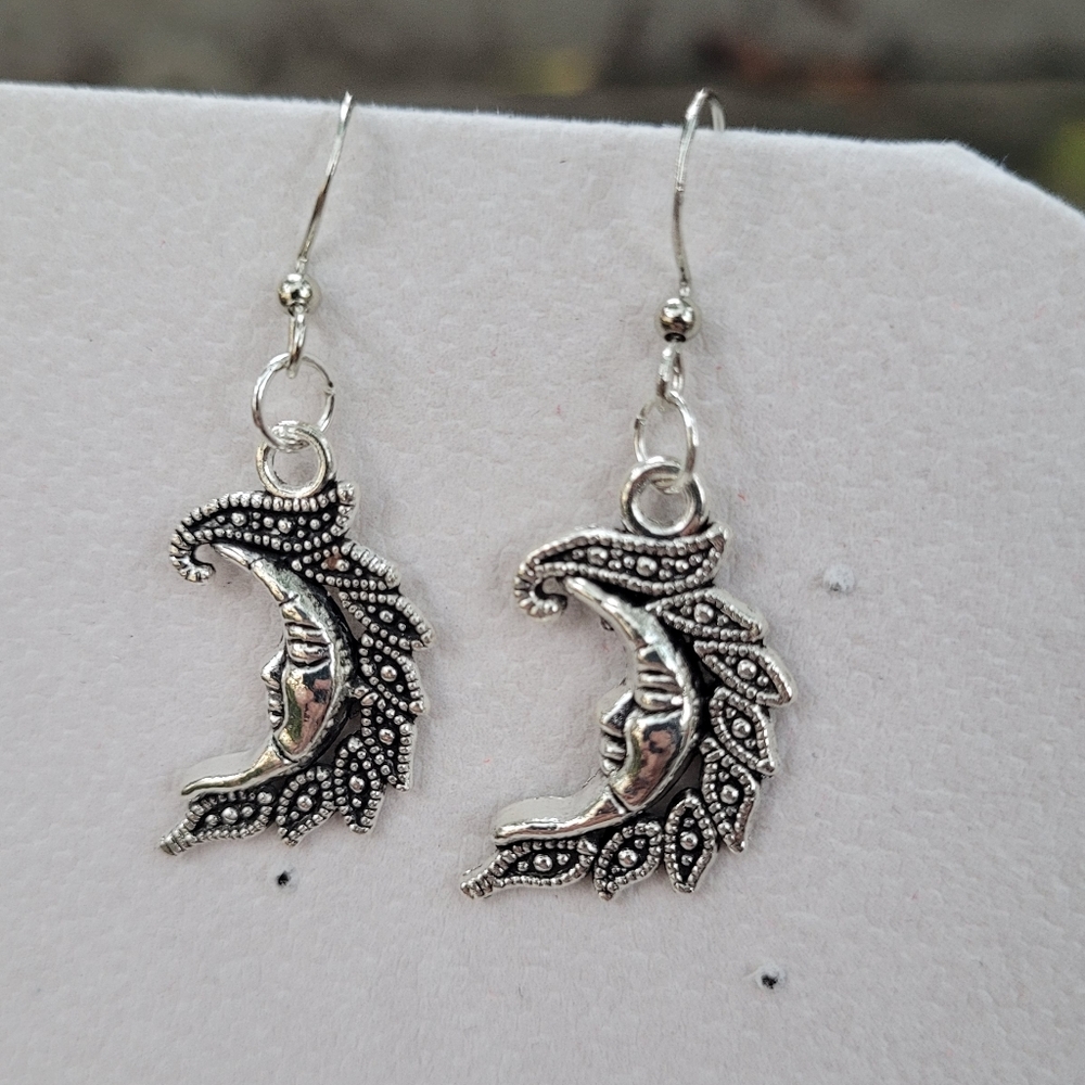 2 for $16! Silver Moon Earrings 🌙